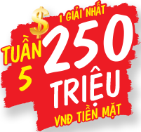 Tuần 5