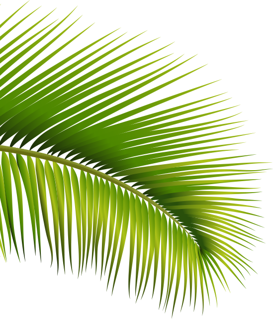 ĐỒNG TIỀN 2