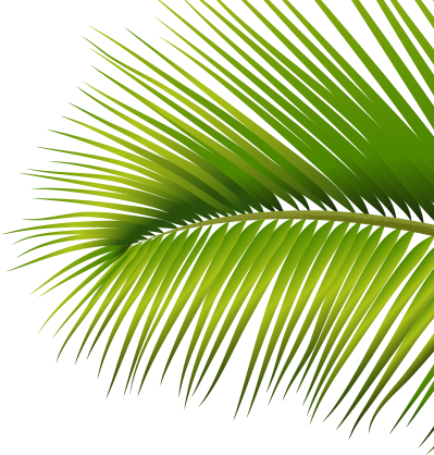 ĐỒNG TIỀN 3