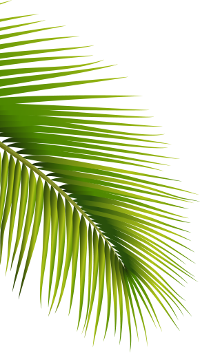 ĐỒNG TIỀN 3