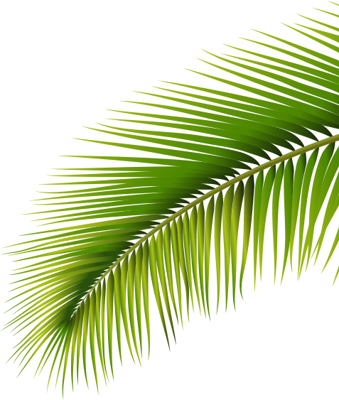 ĐỒNG TIỀN 3
