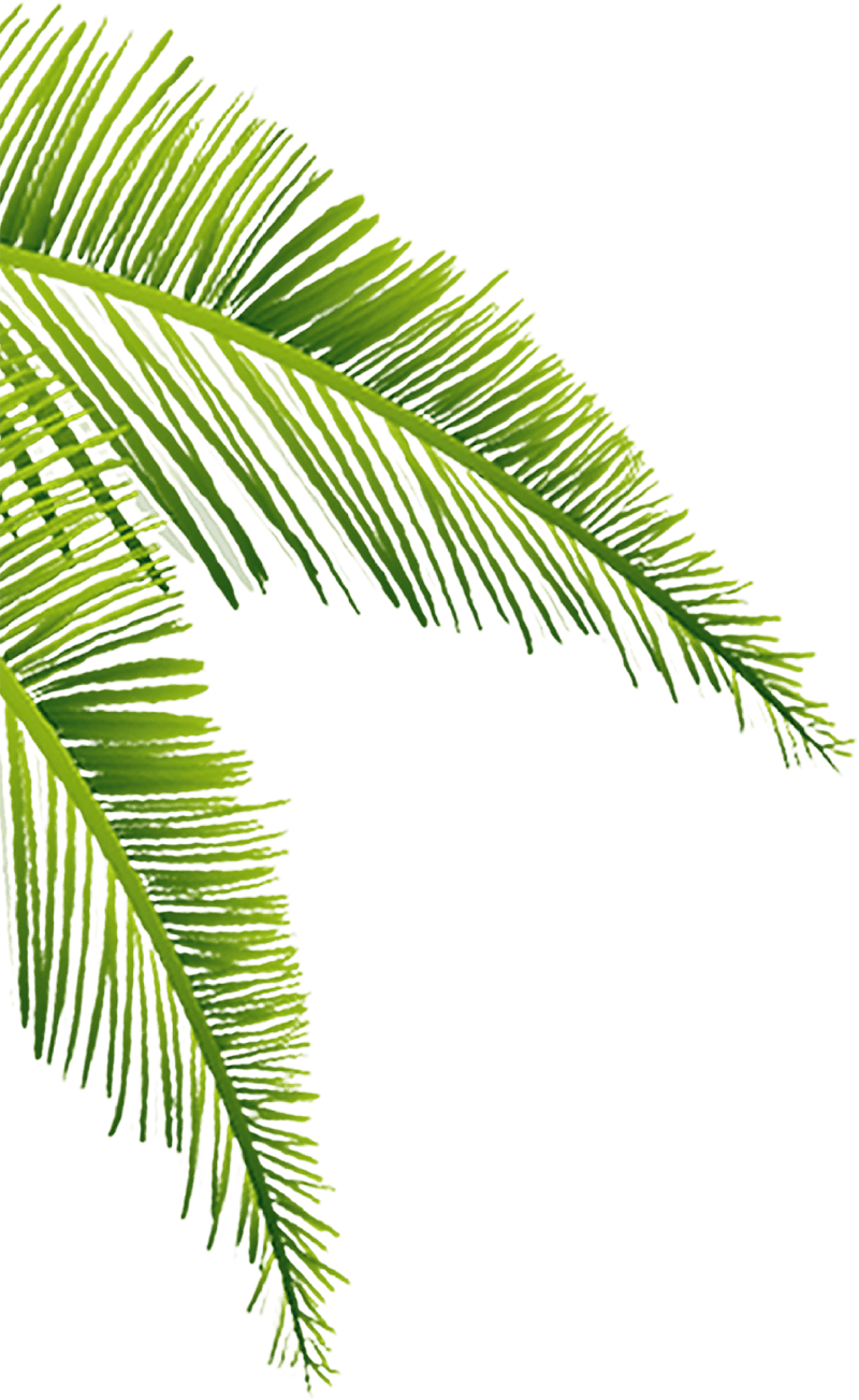 ĐỒNG TIỀN 3