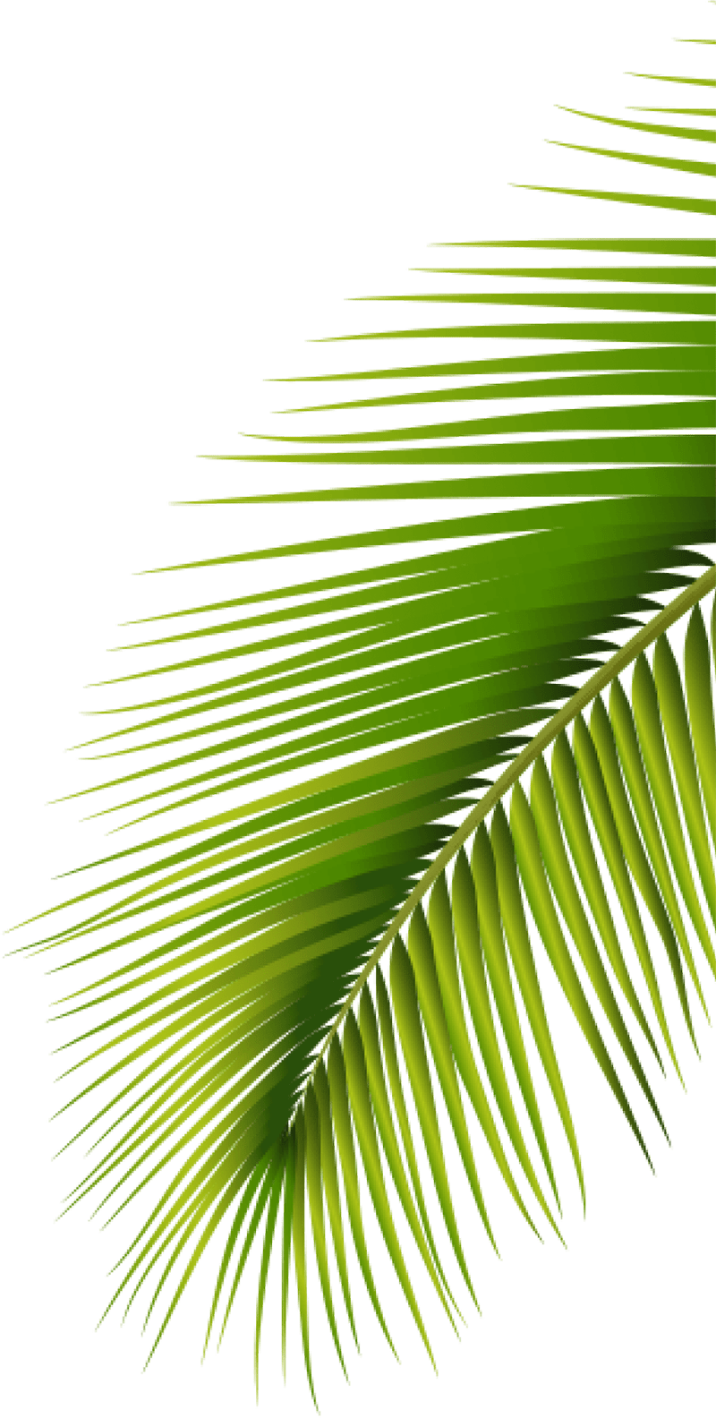 ĐỒNG TIỀN 2