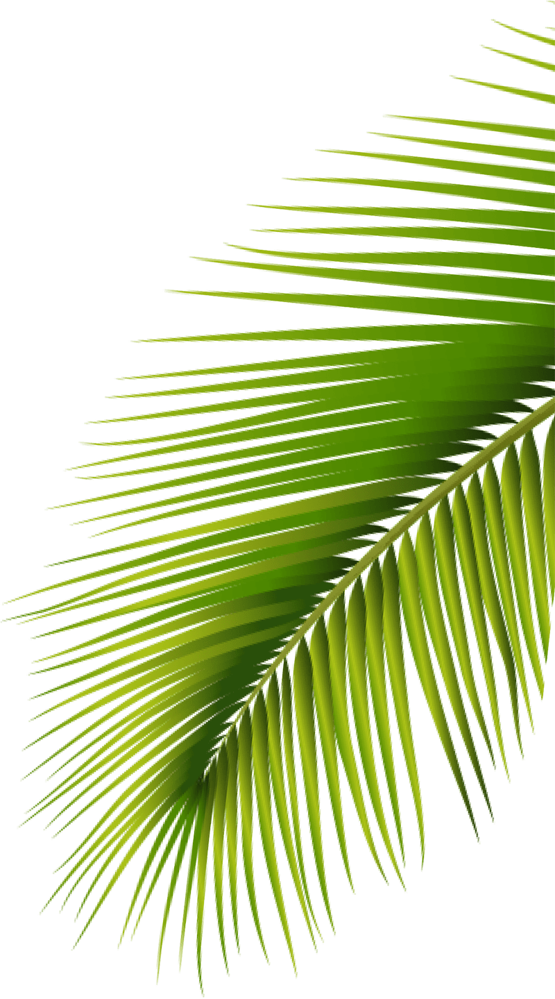 ĐỒNG TIỀN 3