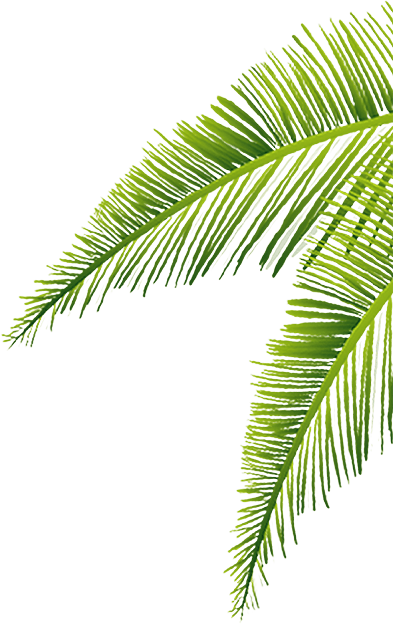 ĐỒNG TIỀN 3