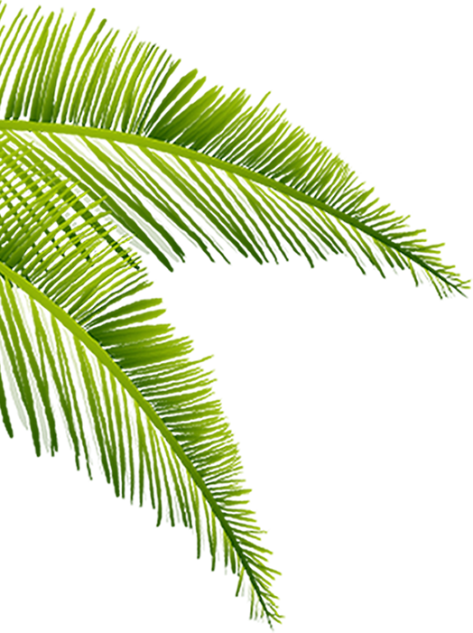 ĐỒNG TIỀN 3