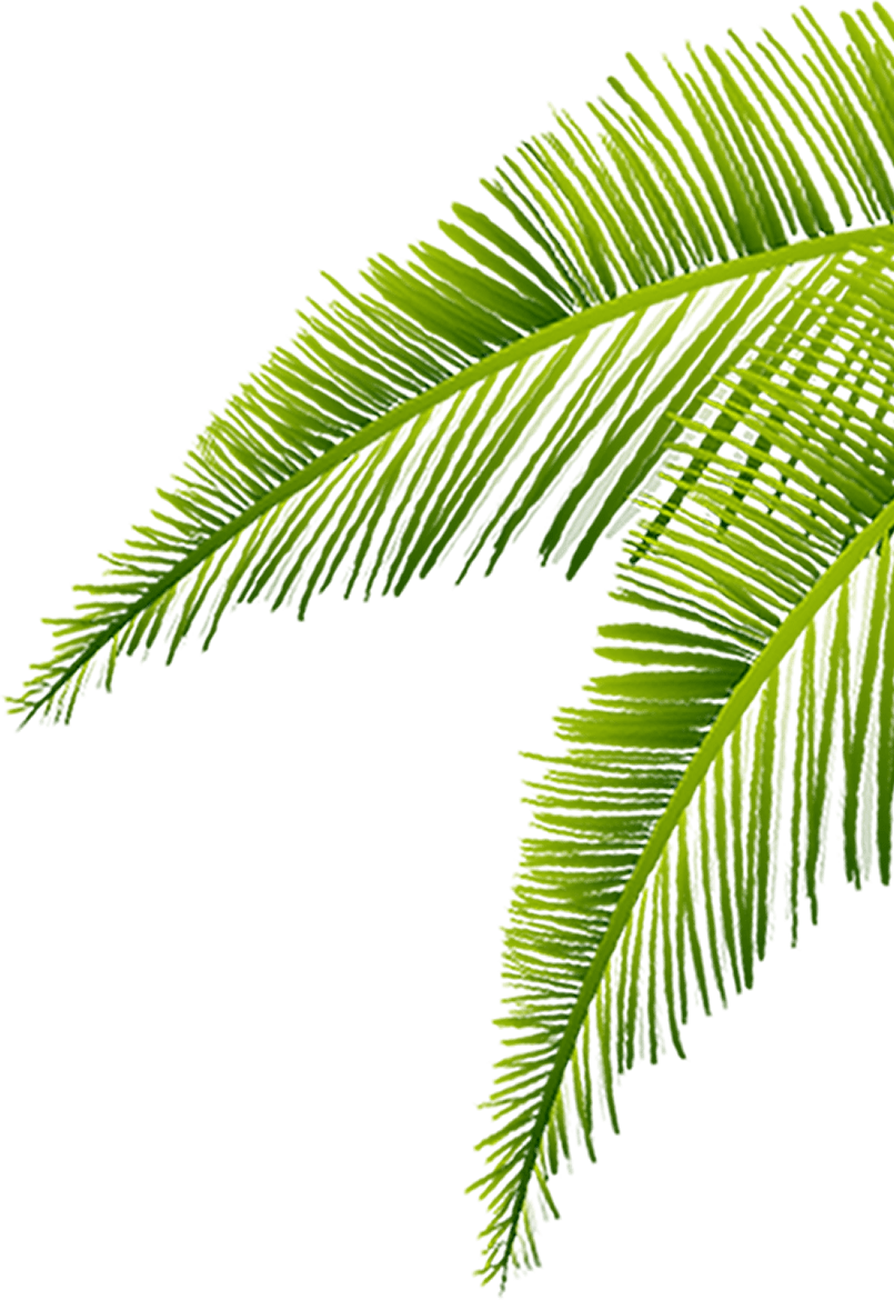 ĐỒNG TIỀN 3