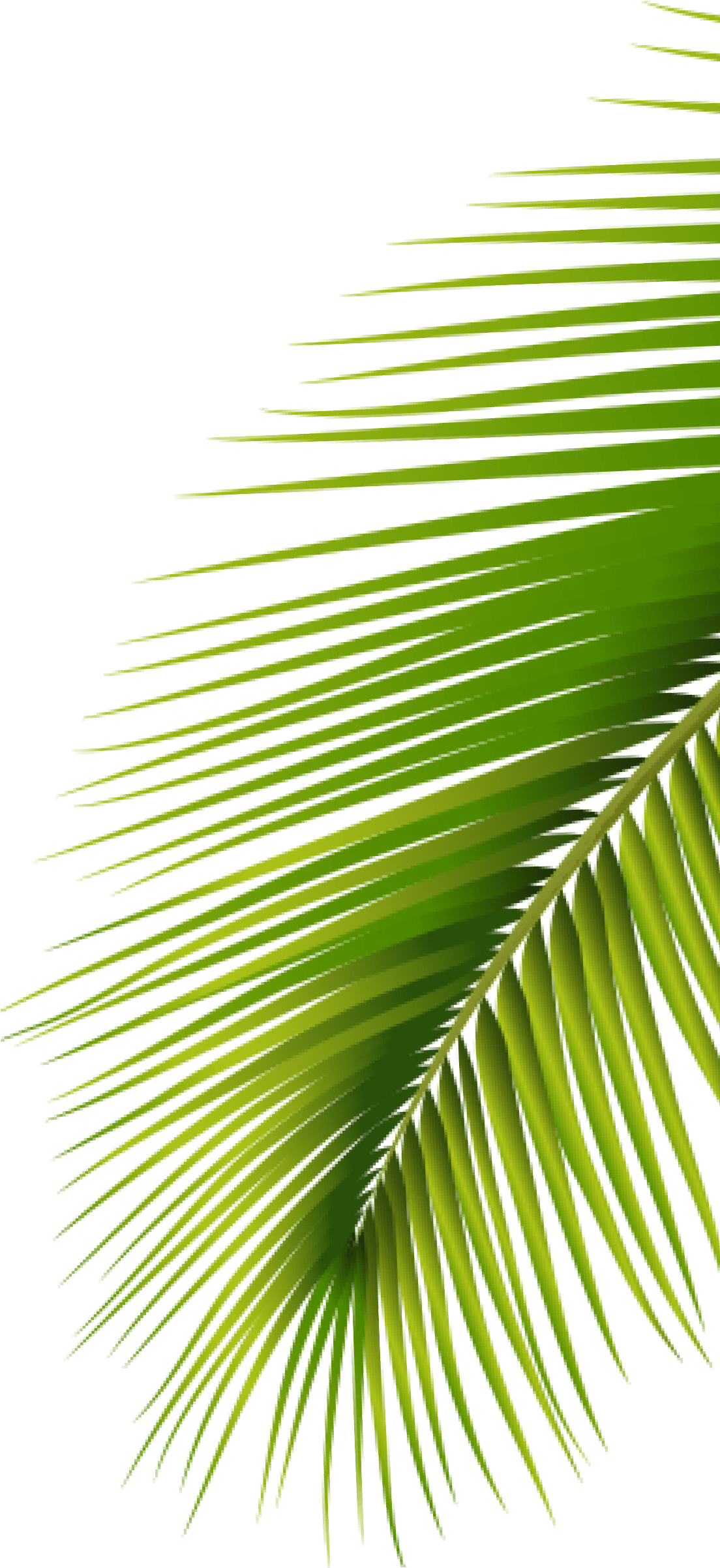 ĐỒNG TIỀN 3