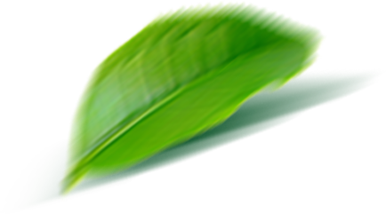 ĐỒNG TIỀN
